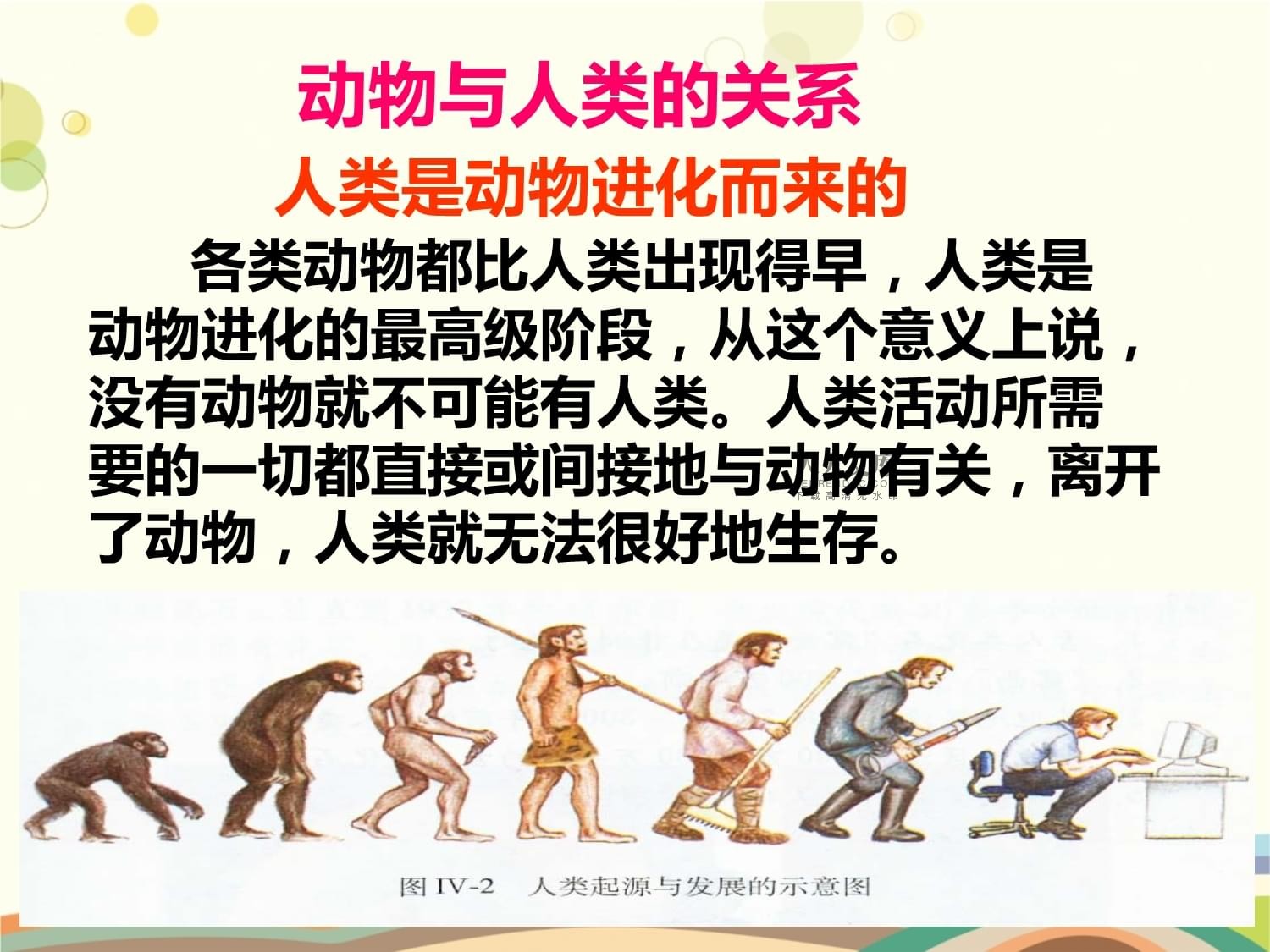 动物与人类的关系-完整版PPT_第2页